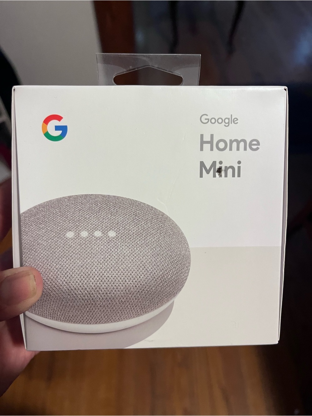 Google He mini 1st Gen